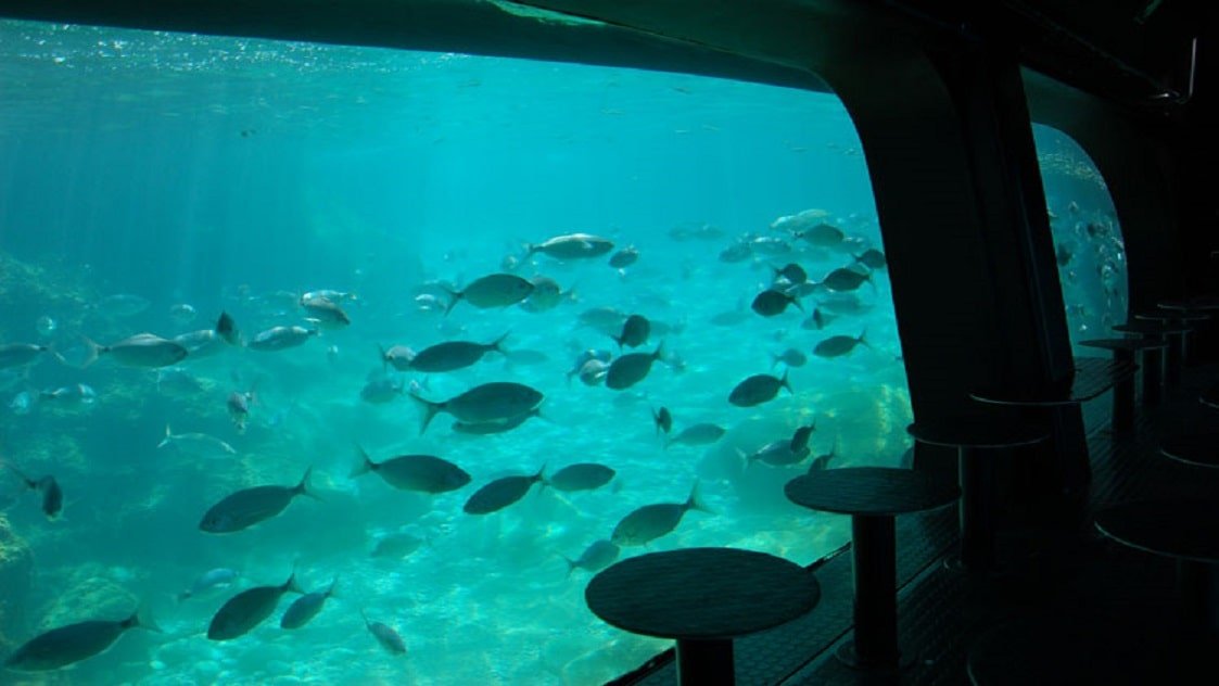 Barco Aquaescope y su visión submarina