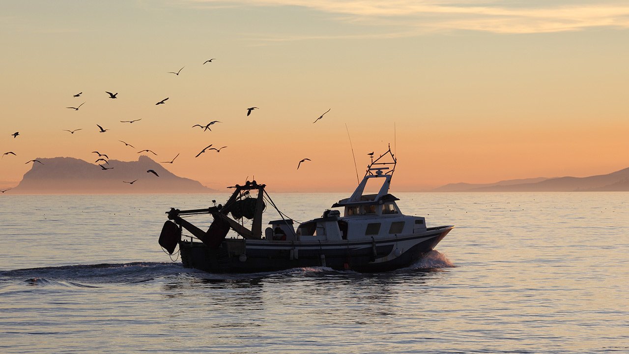 Barco pesquero   