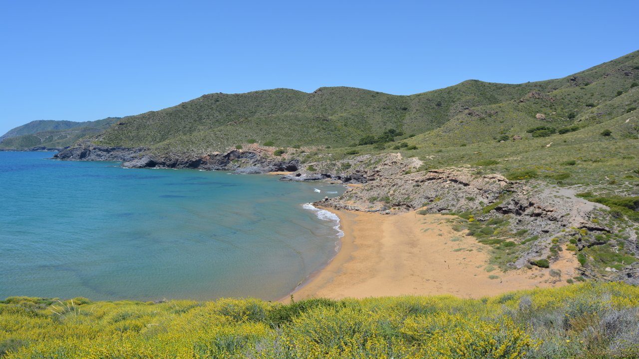 Playa Parreño en Calblanque