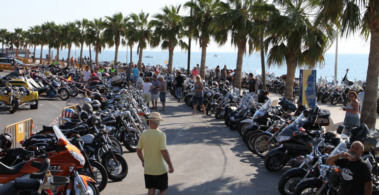 Reunión Harley Custom Alcossebre Concentración de Harleys Davidson