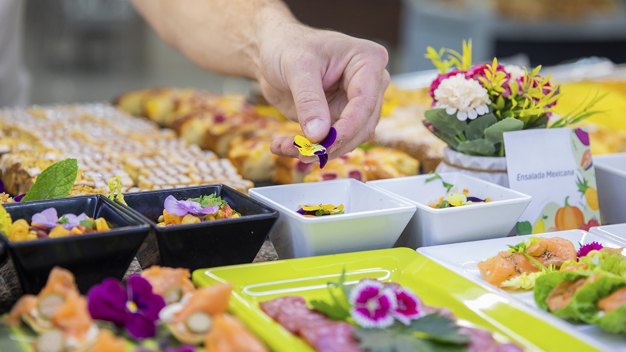 Ensaladas Buffet Hoteles Servigroup