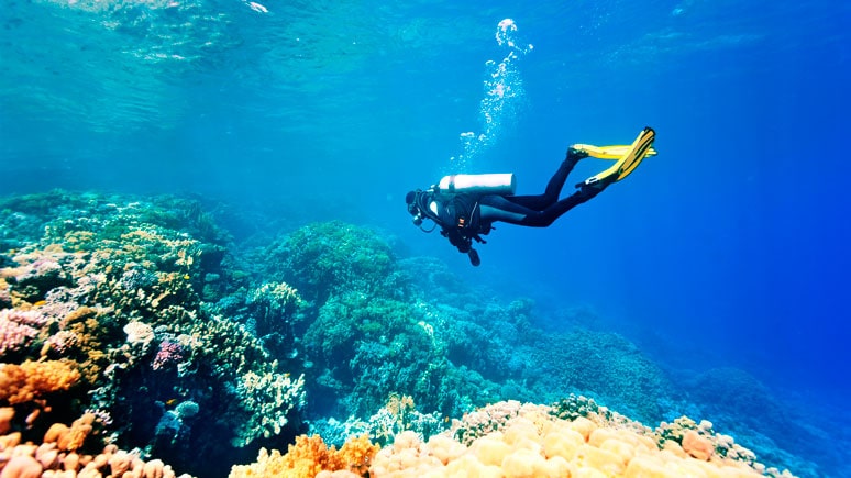 Buceo en Benidorm por el Puente de diciembre