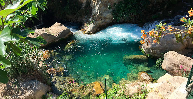 Las Fuentes del Algar en Alicante