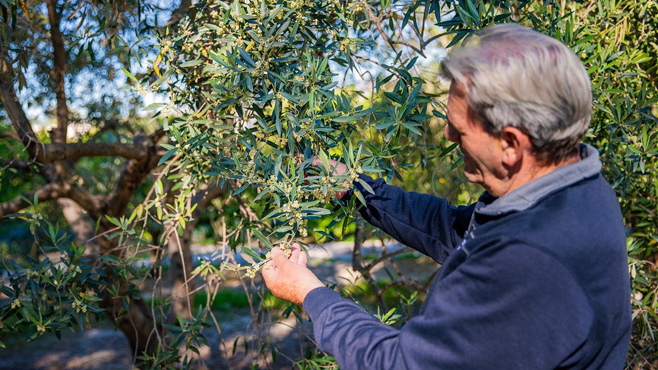 Gaspar Manero en la Finca El Clot
