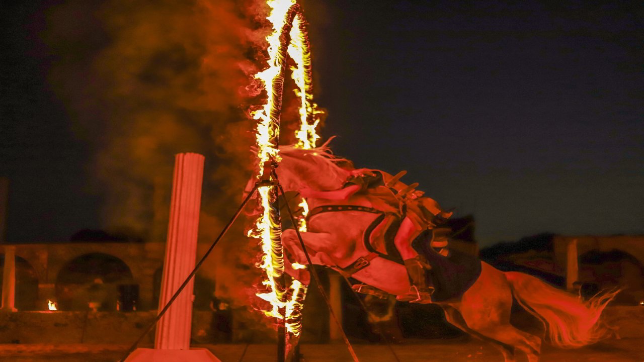 Caballo atravesando un anillo de fuego