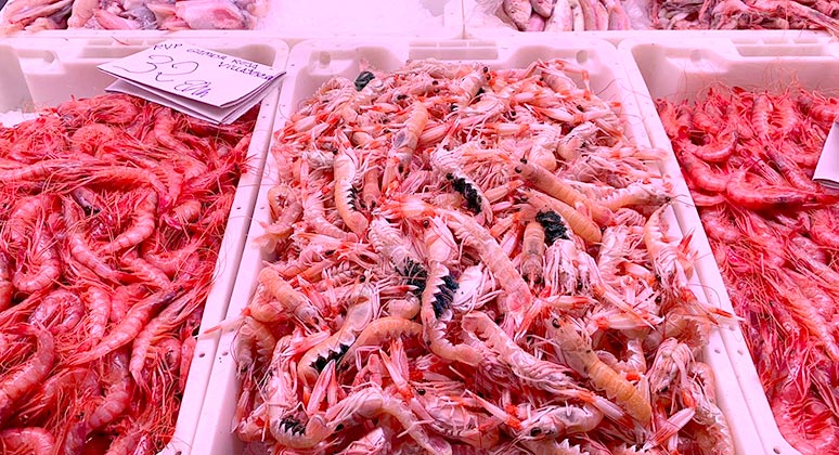 Pescaderías en Alicante