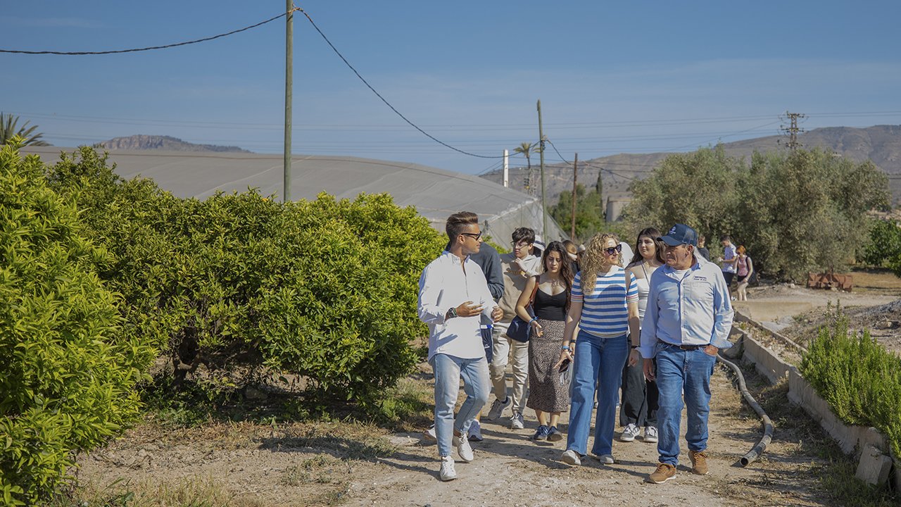 Visita Naranjos Finca el Clot