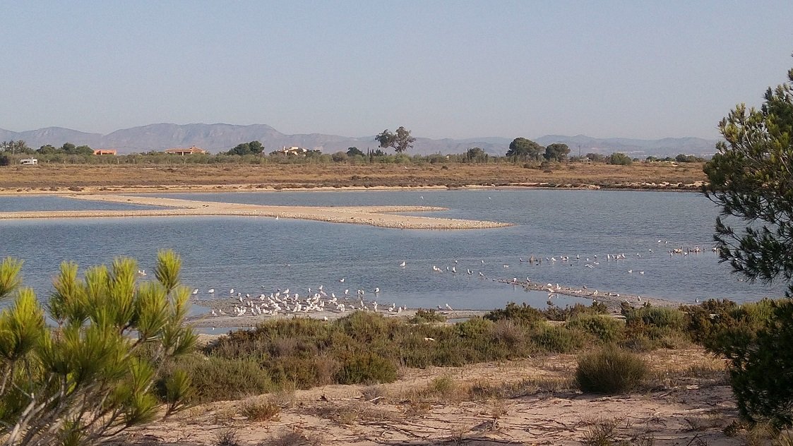 Parque Natural Lagunas de La Mata
