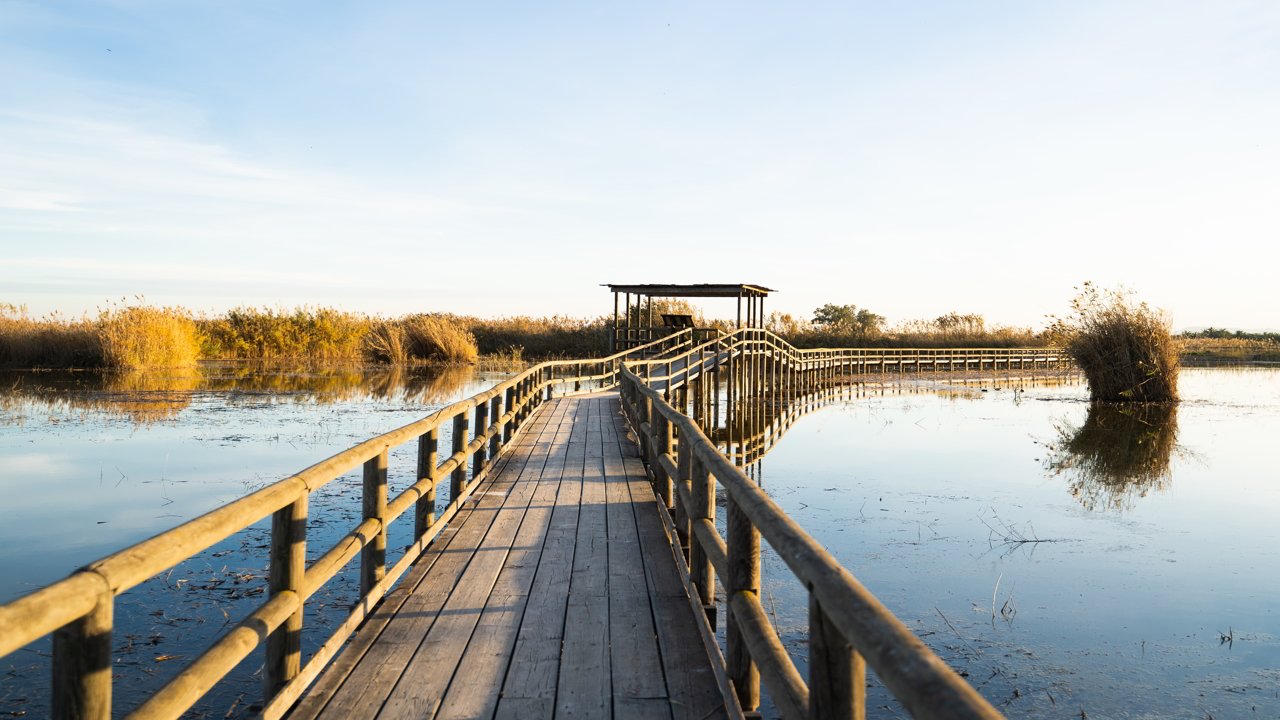 Parque Natural el Hondo en Elche