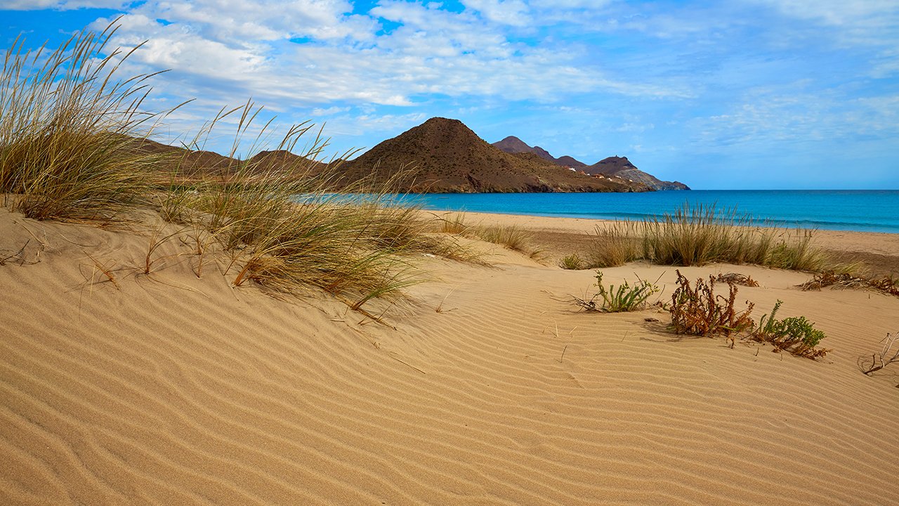 Playa de los Genoveses