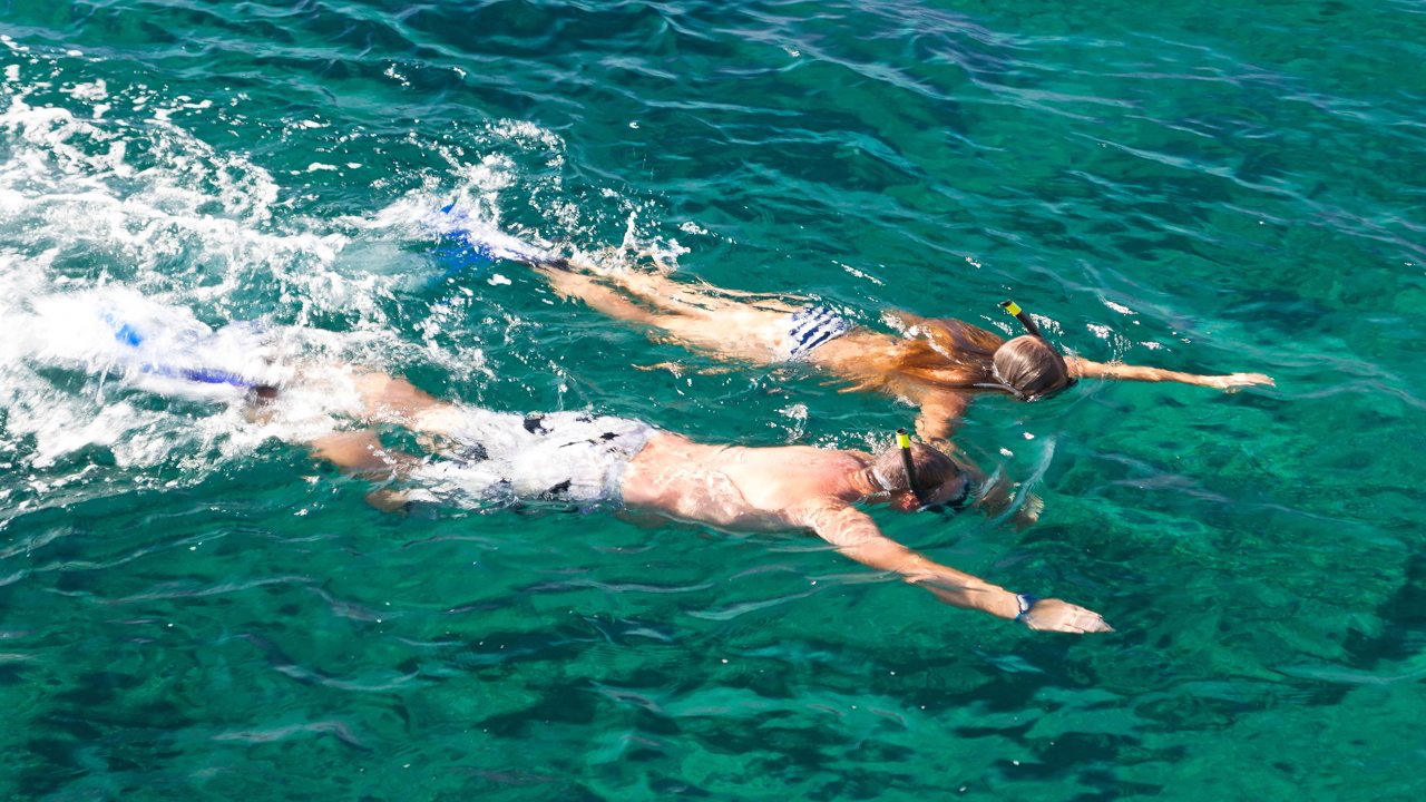 Bañistas haciendo snorkel