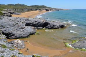 Playa virgen en Calblanque
