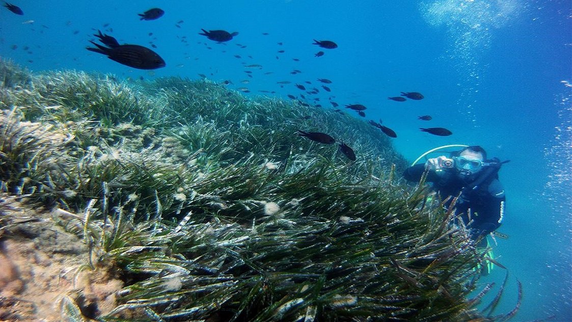 Zonas de buceo en Almería