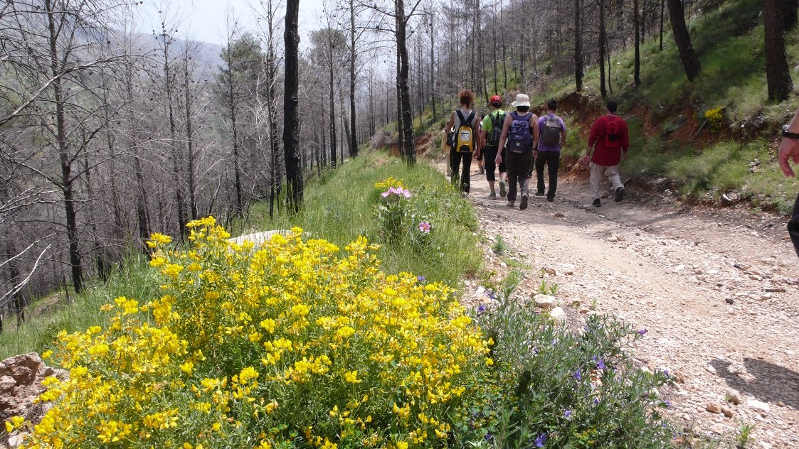 Ruta de senderismo al Puig Campana