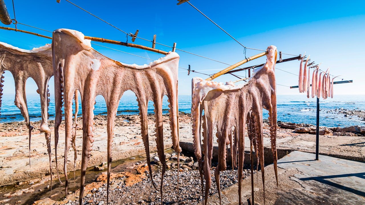 Pulpo secado al sol de forma tradicional en Denia