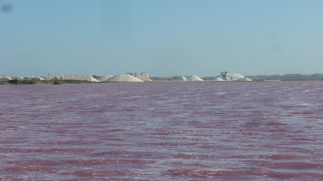 Visitar las salinas de Torrevieja