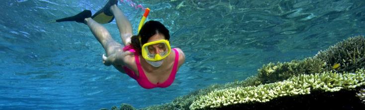 Snorkel Peñíscola