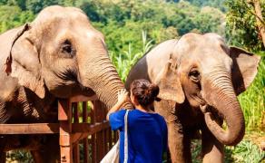 Terra Natura