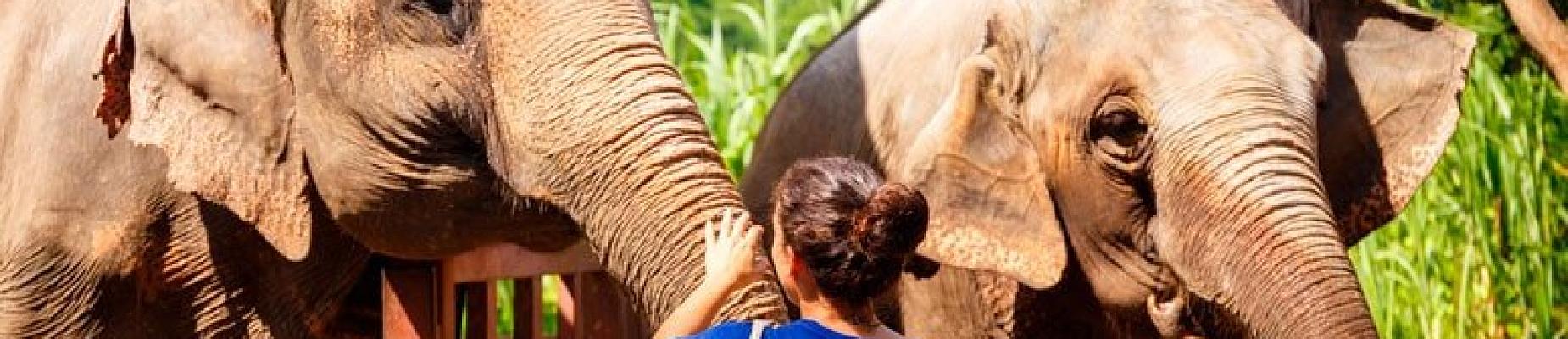 Terra Natura