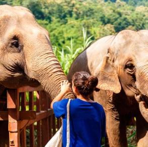 Terra Natura