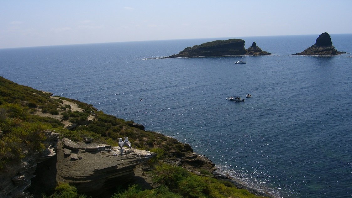 Reserva Marina de las Islas Columbretes
